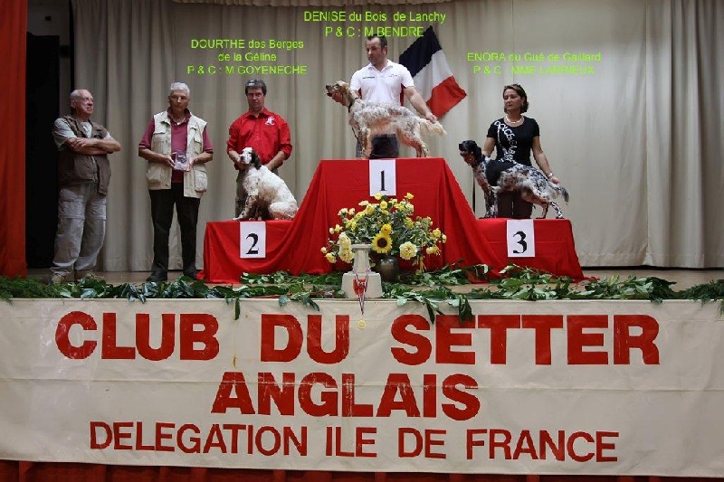 Coupe de France Novices 2010
